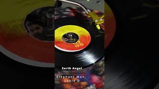 Elephant Man, Lukie D / Earth Angel【 Reggae Vinyl Records 】 #reggae #sound #vinyl #music