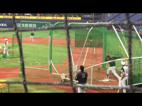 糸井のフリー打撃を金本監督が見守る② 京セラドーム初戦