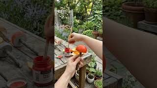 Turning Orange Pills Into Stunning Cement Mushrooms 🍄✨