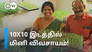 Microgreens வளர்ப்பில் மாதம் 50,000 வரை சம்பாதிக்கும் சென்னை தம்பதி | DW Tamil