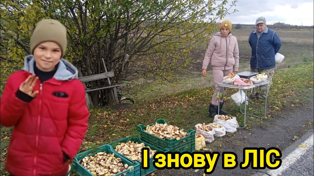 Збираємо гриби,Білий та Маслюк. 