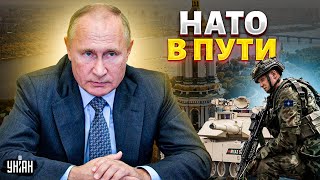 Гудит вся Россия! Армию НАТО "заметили" в Украине. Вот тут Путину стало по-настоящему страшно