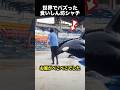 1匹じゃダメ!?食いしん坊シャチの反応が面白すぎる!