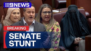 Pauline Hanson wears burqa in the Senate in repeat of 2017 stunt | 9 News Australia