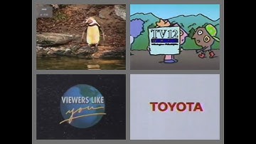 PTV Park Program Break (1994 WHYY) #4 Incomplete