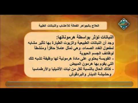 تعرف على الهرمونات النباتية التي تشبه هرمونات الجسم طب الأعشاب