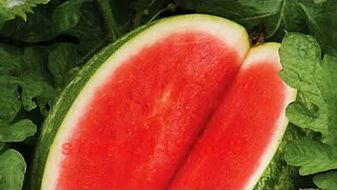 The Top 3 Reasons I Don’t Eat Seedless Watermelon 🍉😳🍉