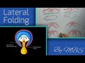 folding of embryo part 2