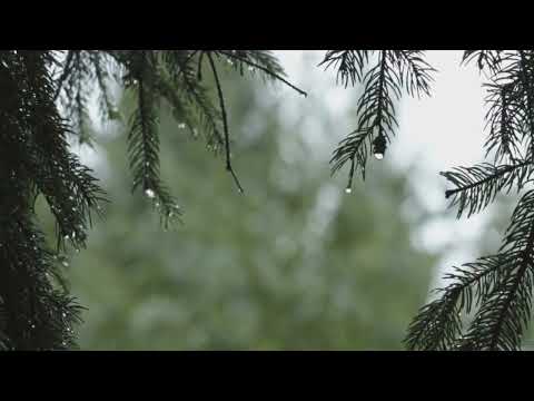 Rainstorm Sounds for Relaxing, Focus or Deep Sleep | Nature White Noise | 4 Minutes Video