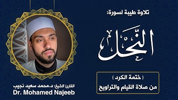 Surah Al- Nahl | Dr. Mohamed Najeeb - ١٦- المصحف المرتل | سورة النحل | د. محمد نجيب