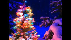 ⭐ Без категории | Живые обои Merry Christmas Tree | Скачать бесплатно | На рабочий стол ⭐