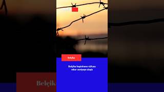 Belçika Hapishane Nüfusu Rekor Seviyeye Ulaştı