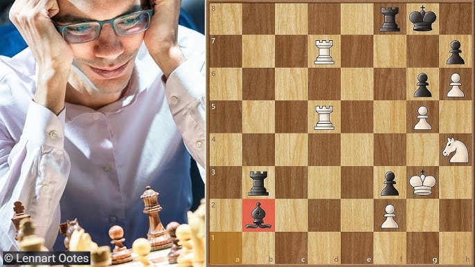 Magnus Carlsen Vs. Kasparov - Coub - The Biggest Video Meme Platform