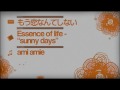 Ami Amie - もう恋なんてしない