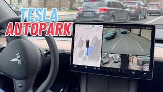 Tesla Autopark (Vision-Based) - Parallel & Perpendicular Parking Tests by TechWalls 1,684 views 1 month ago 8 minutes, 16 seconds