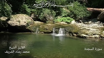 سورة السجدة بصوت القارئ الشيخ محمد رشاد الشريف