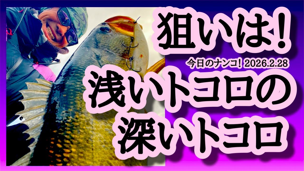 【今日のナンコ！2026.2.28】狙いは浅いトコロの深いトコロ【琵琶湖バス釣り】