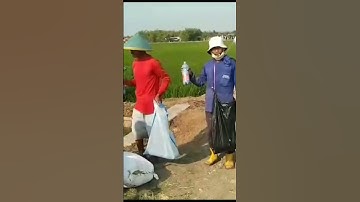 pengasapan hama tikus