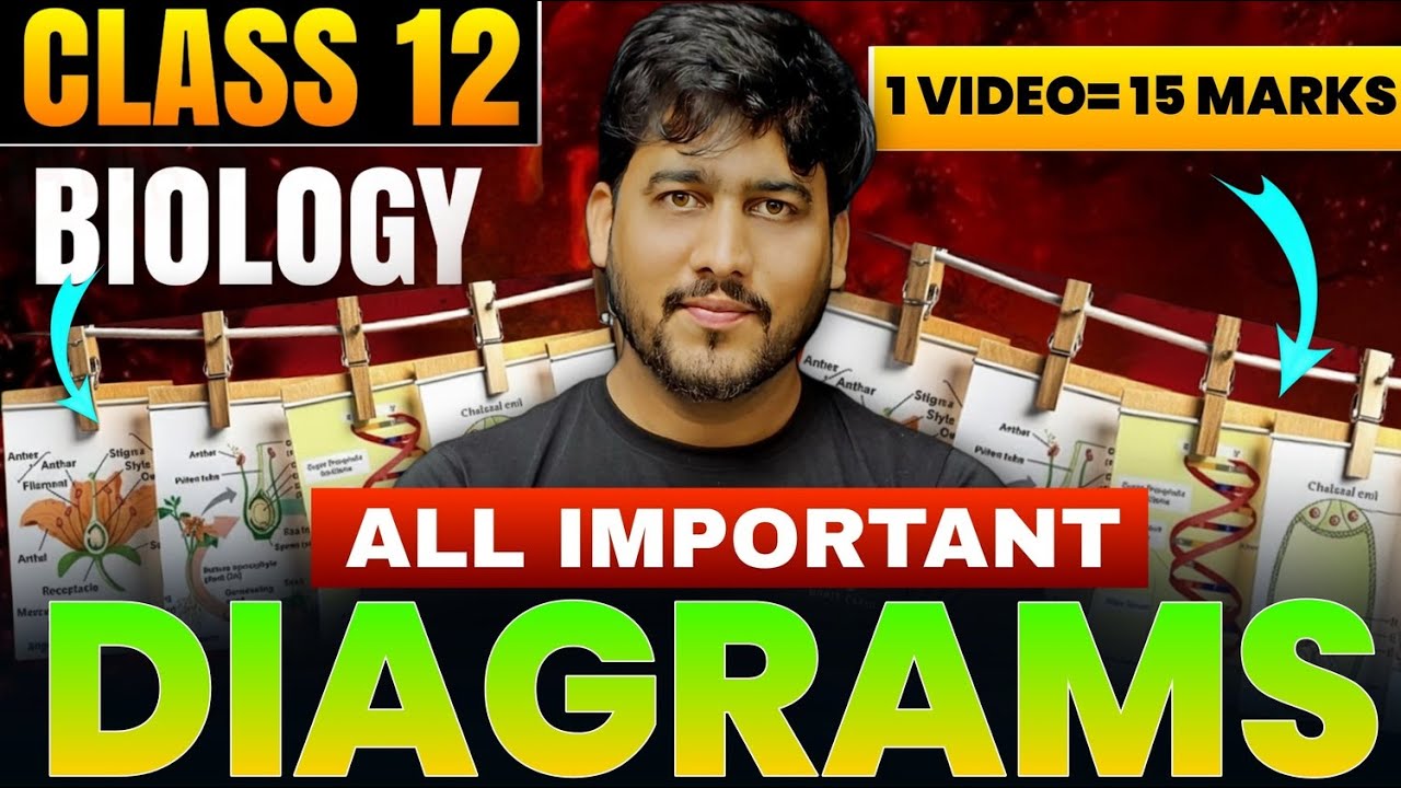 Class 12 Biology : All Most Important Diagrams in One Video | Boards ...