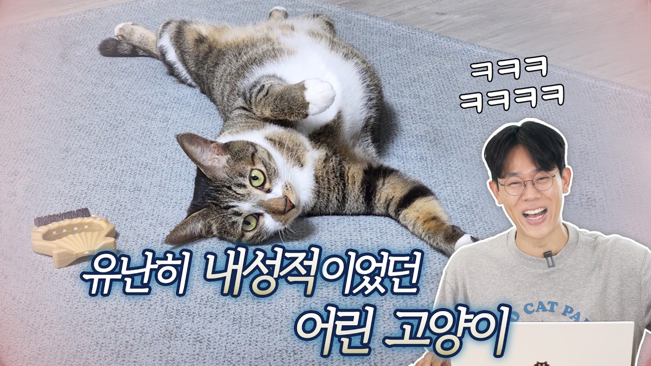 가족 중 단 한 사람만 따르는 고양이가 결국에 힘들어지는 이유