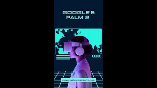 Getting started with PALM API Using Python