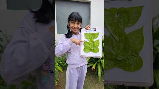 Tom 🍓 Jerry (Soumya&Ammu)Real End Twist😍🎈#v5familyshow  #shorts #viralvideo