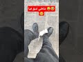 قطيوط شافني لسق فيا قطيوط شافني لسق فيا