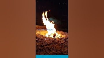 AI Safety SHOCK: OpenAI & Anthropic Unite! - A ProwessAIStudio Production