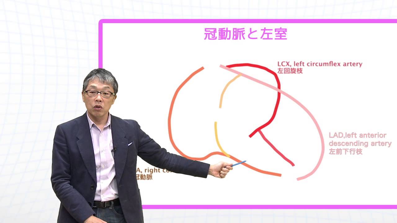 Dr. Nabechan's Easy-to-Read Cardiac Echocardiogram Sample Video
