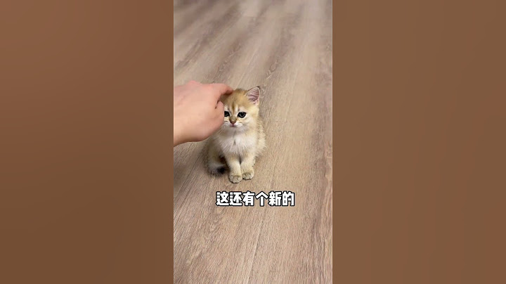 【牛奶是只猫】女承母业，结尾显眼包也排第一了