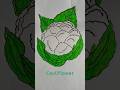 Super Easy Cauliflower Drawing #kids #drawing #shorts #feed #easydrawing #kidsdrawing #vegetables
