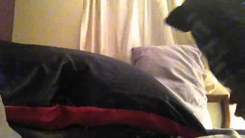MyDayYesterday-K...  Southerland.mov