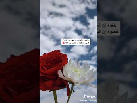 بنتي الحبيبة