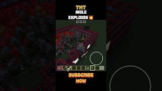 Minecraft TNT Mule Explosion 🫏💥 #minecraft #minecraftshorts #explosion #trending #gaming #shorts