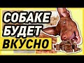 🦴ЛАКОМСТВА ДЛЯ СОБАК - 6 ПРОСТЫХ РЕЦЕПТОВ СОБАЧЬИХ ВКУСНЯШЕК СВОИМИ РУКАМИ