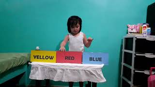 Sorting and classifying objects according to colors.