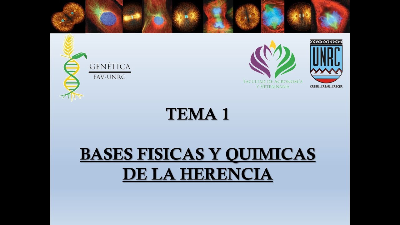1- Tema 1 Teórico Cromosomas I Genetica (2030)
