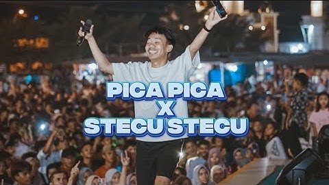 DJ ANDRO 87 - PICA PICA X STECU STECU #djandro #djbreakbeatfullbass #breakbeat