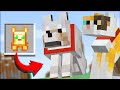 NEW items for PETS in Minecraft (Comments to Crafting)