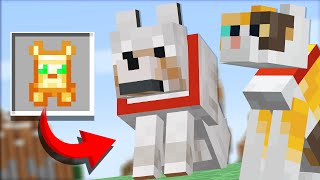 NEW items for PETS in Minecraft (Comments to Crafting)