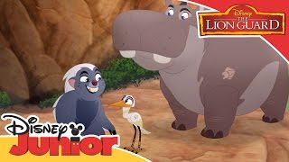 The Lion Guard - Stand Up, Stand Out Song | Official Disney Junior Africa