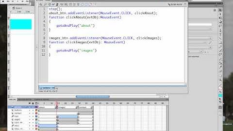 The Actions Panel in Flash CS4