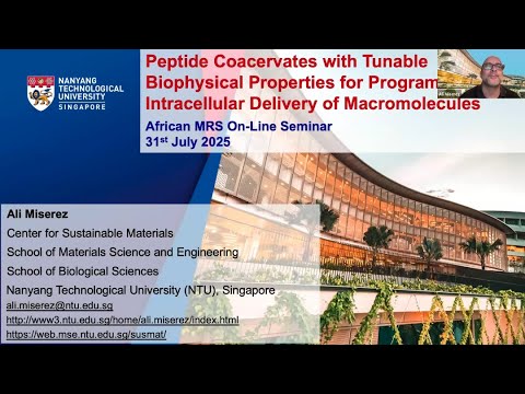 A Beginner’s Scout to Finding Timbre Peptides for Sales event in the Explore Market