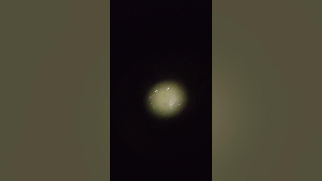 Кусок яблоко под микроскопом ПОДПИШИСЬ 👇 - YouTube