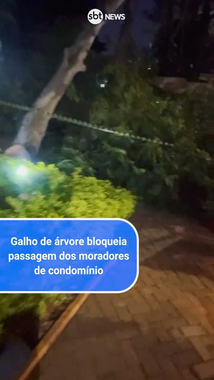 Galho de árvore bloqueia passagem dos moradores de condomínio em SP