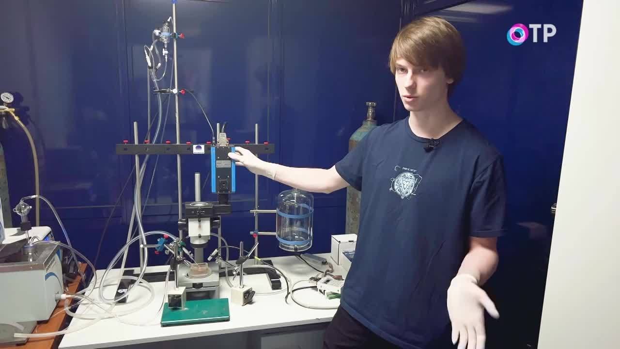 В ритме сердца. Каким будет лечение мерцательной аритмии в будущем ...