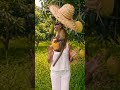 monkey eating mango #videomaker #fruit #mango #visualreel #funny #youtubetv #video #monkey #myvideo