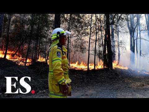 Bushfires in Australia: Queensland ravaged by record wildfire emergencies