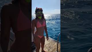 Sun, ocean, snorkeling, and good energy all around ☀️🌊  #travel #summer #vacationmode #oceantherapy