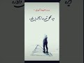 ورور برادر 
